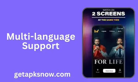Multi language support