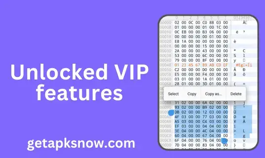 Unlocked vip features in mt manager  mod apk