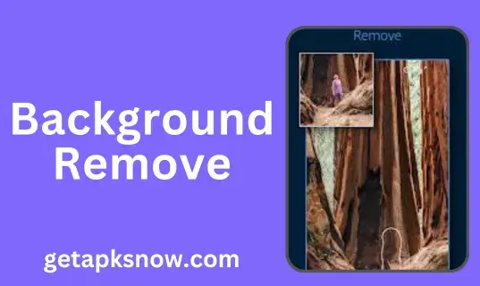 remove background in lightroom pro apk