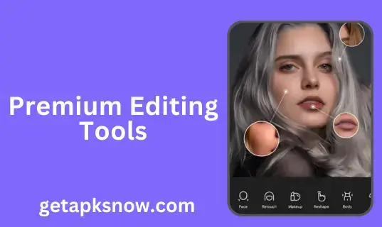 premium editing tools in epik mod apk